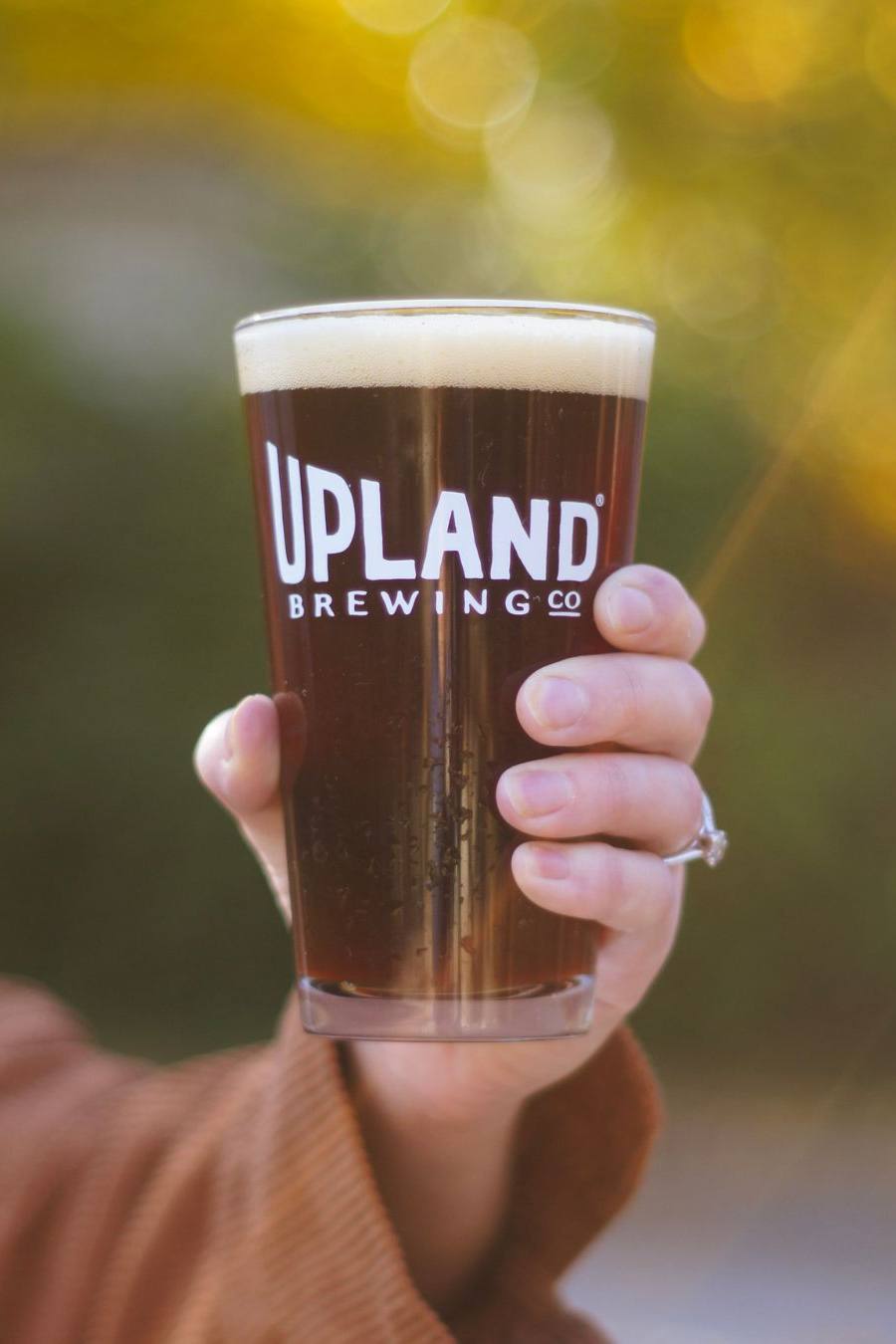 Nut Hugger — English Brown Ale
