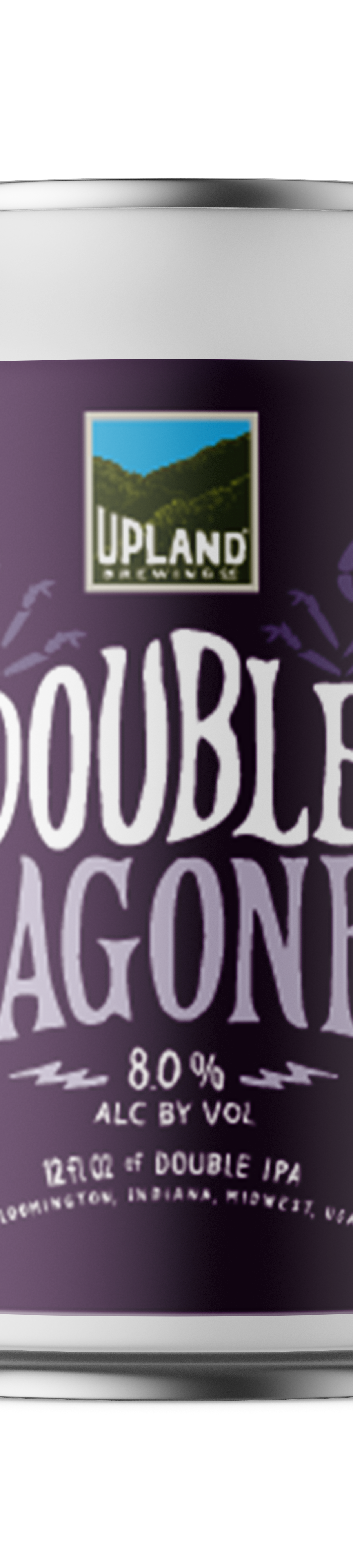 Double Dragonfly