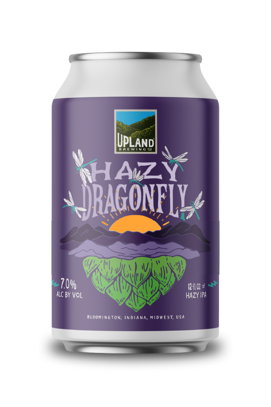 Hazy Dragonfly