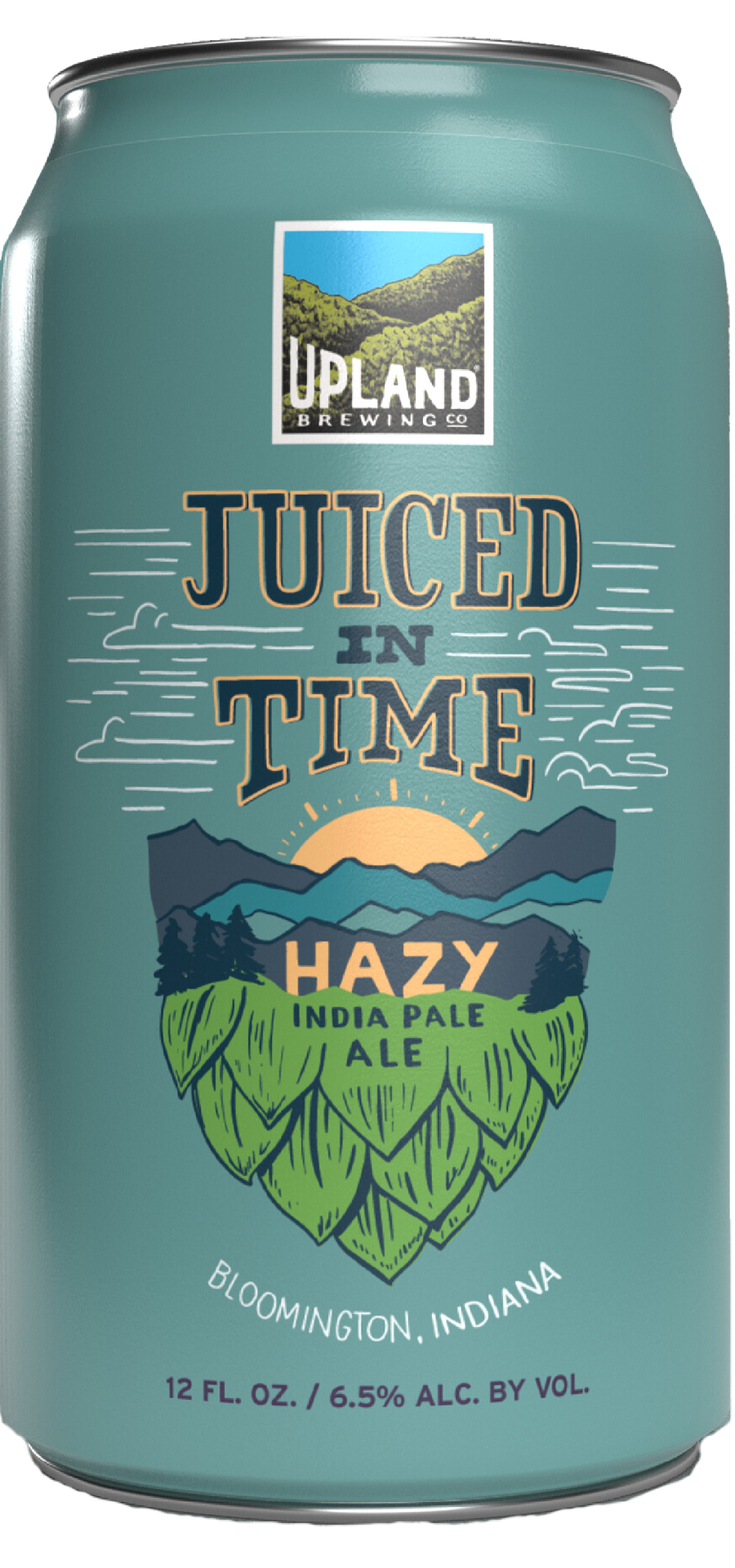 Juiced in Time — New England-Style IPA