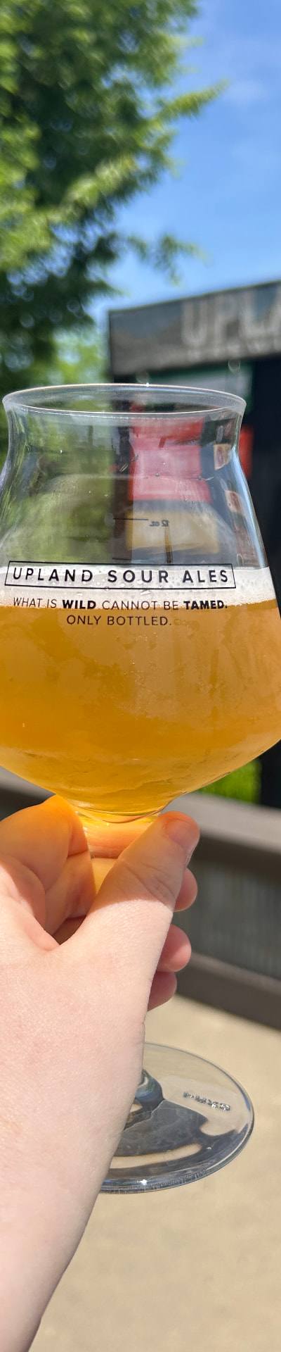 Carmel Tap House — photo 4